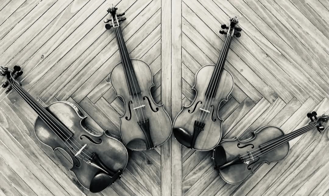 Violons de différentes tailles